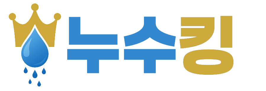 누수킹 로고